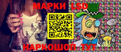 гашик Будённовск