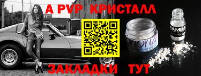 гашик Будённовск