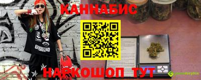 гашик Будённовск