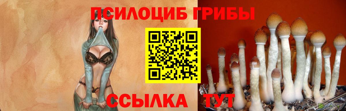 Галлюциногенные грибы мицелий Саянск
